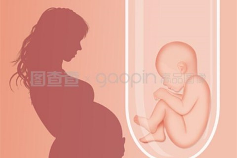 http://xiamen.hy-ly.com/post/208.html|厦门人工试管